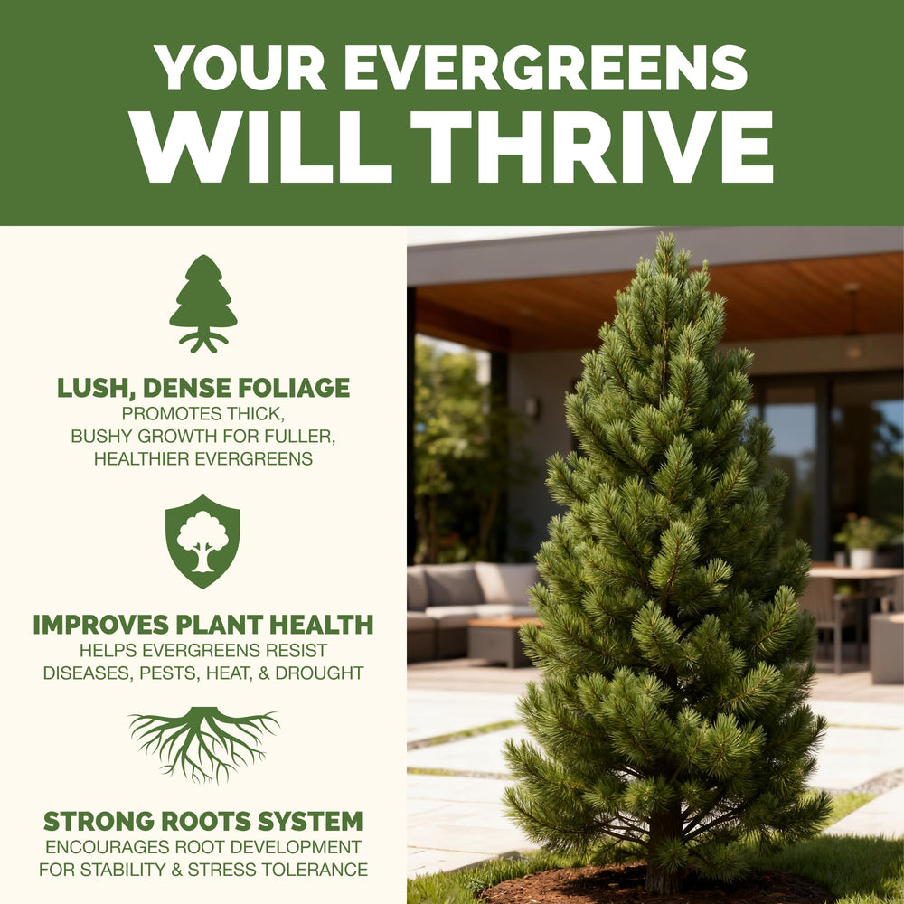 Back view of TPS NUTRIENTS Evergreen Tree Fertilizer bottle