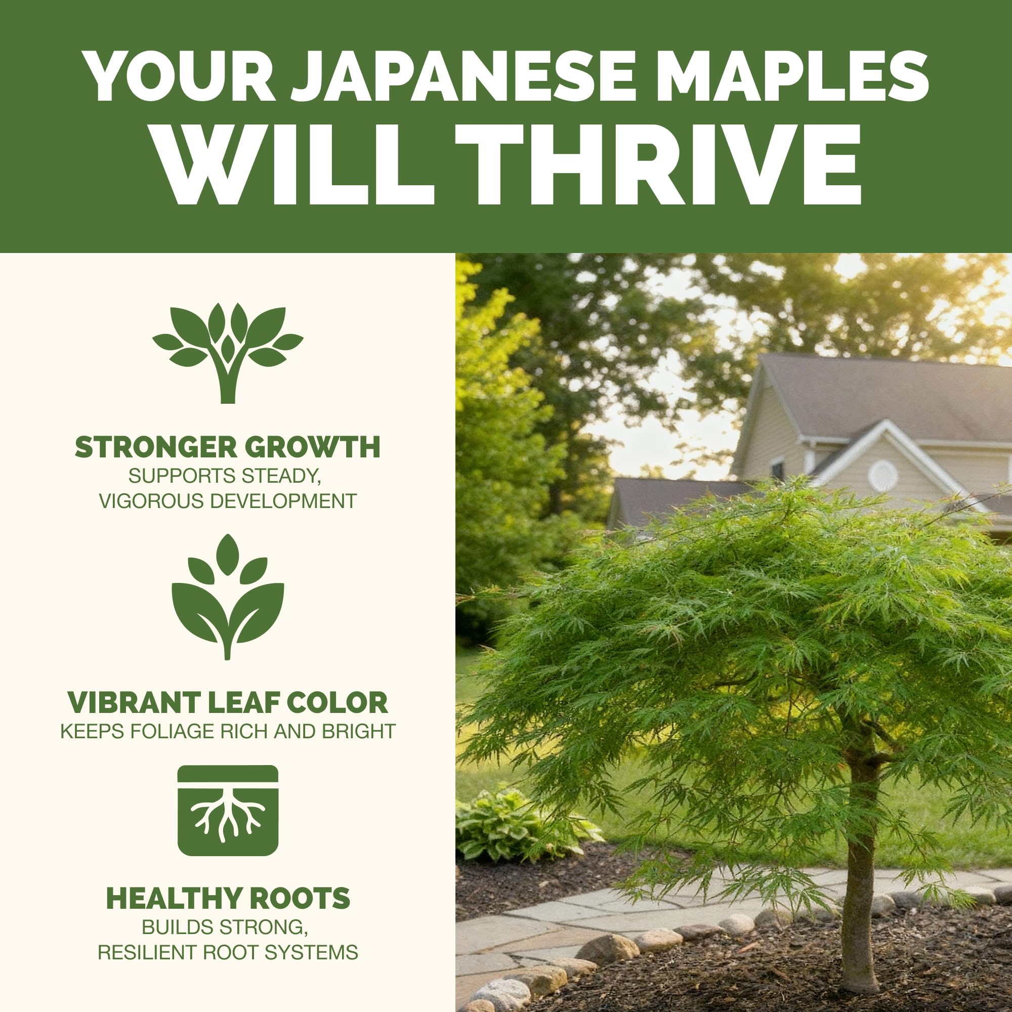 Back view of TPS NUTRIENTS Japanese Maple Tree Fertilizer 8 oz bottle