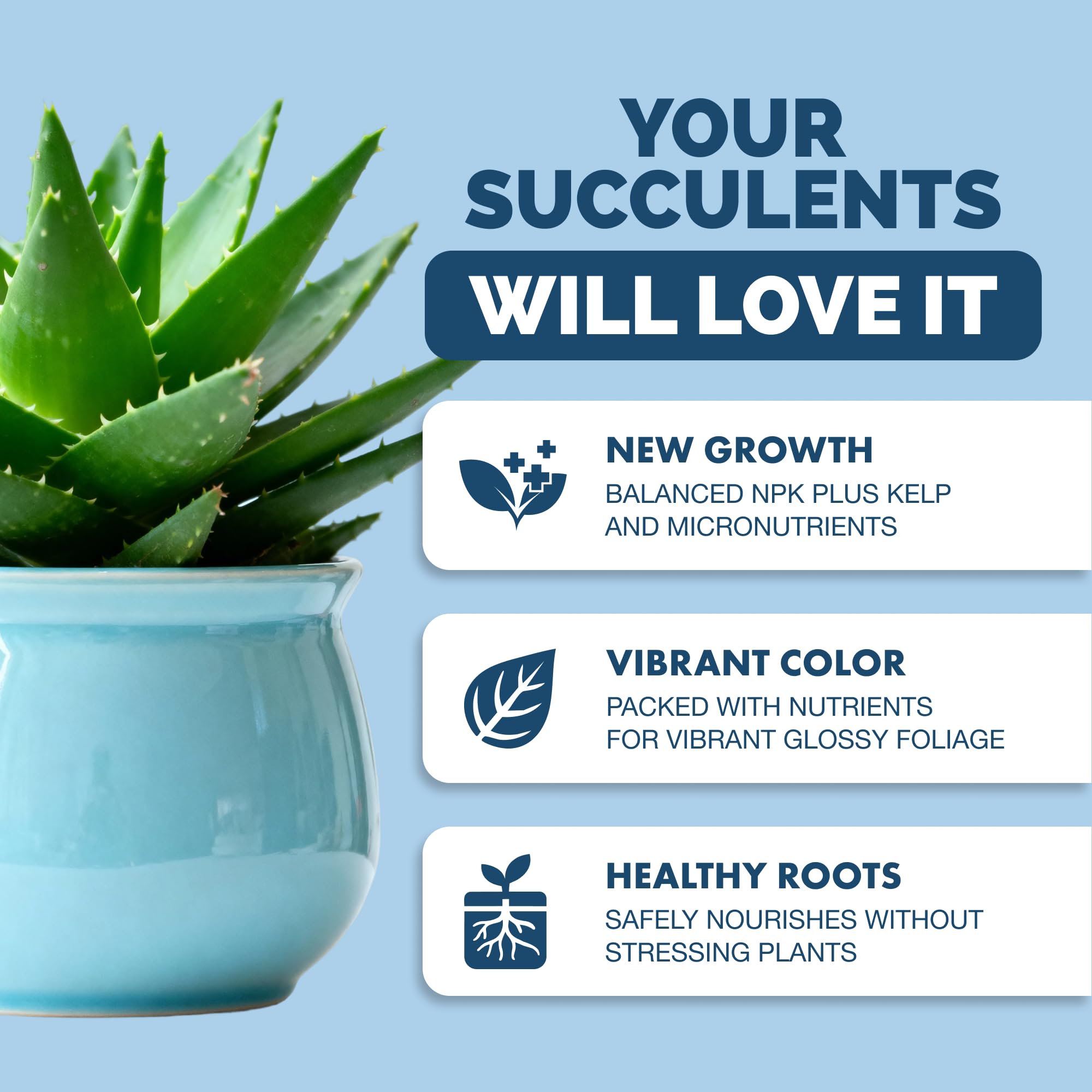 Back view of TPS NUTRIENTS Succulent Fertilizer 8 oz bottle