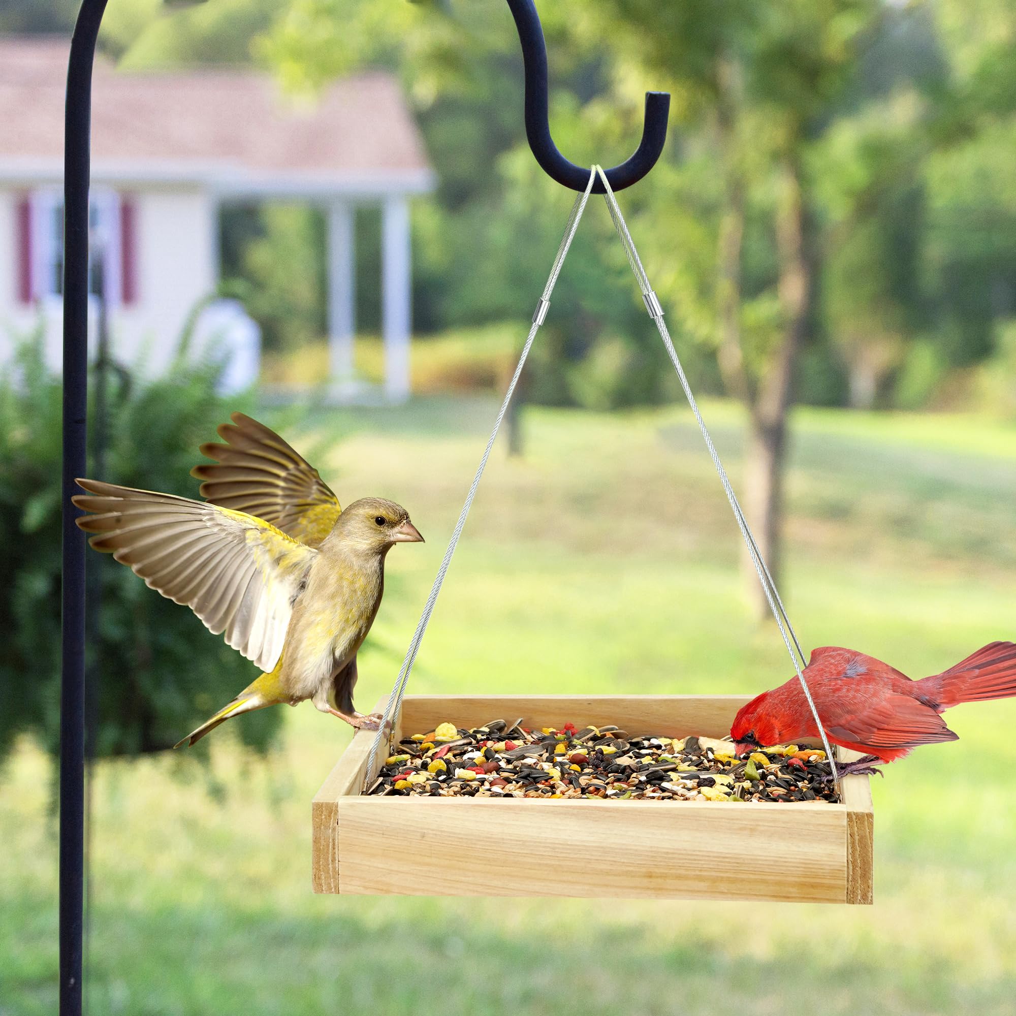 Back view of TT Nature Bird Feeder with metal mesh for drainage