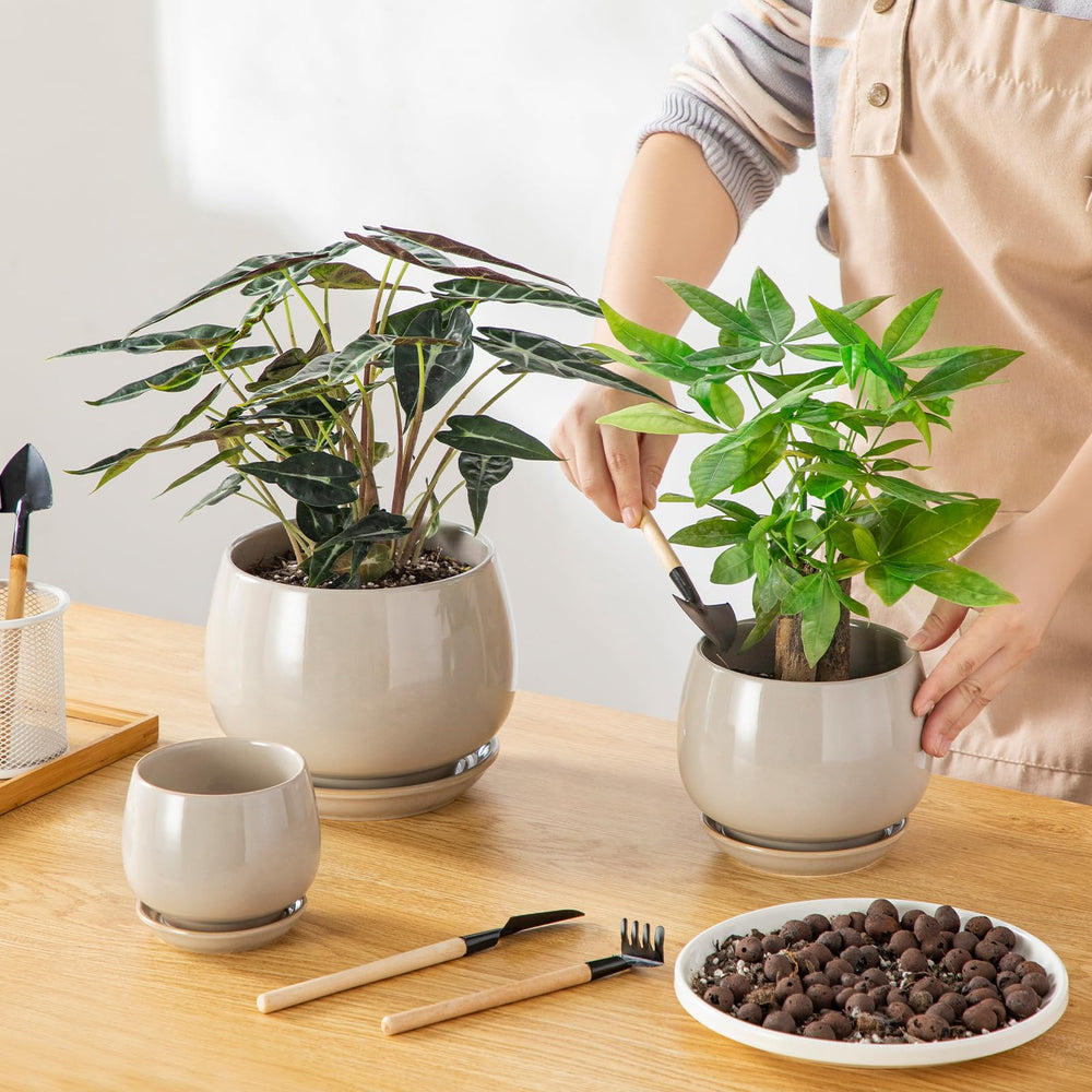 Back view of vancasso ceramic pots showcasing drainage hole