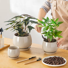 Back view of vancasso ceramic pots showcasing drainage hole