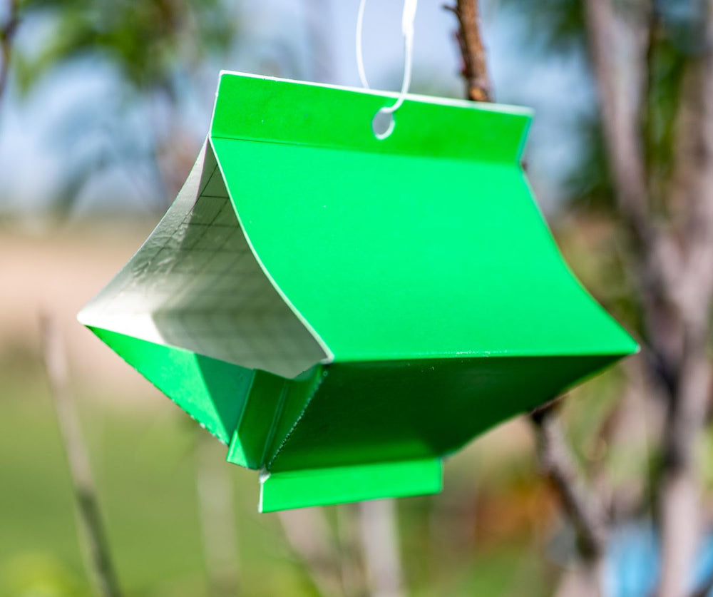 Back view of VivaGrow VT-106 Codling Moth Trap package
