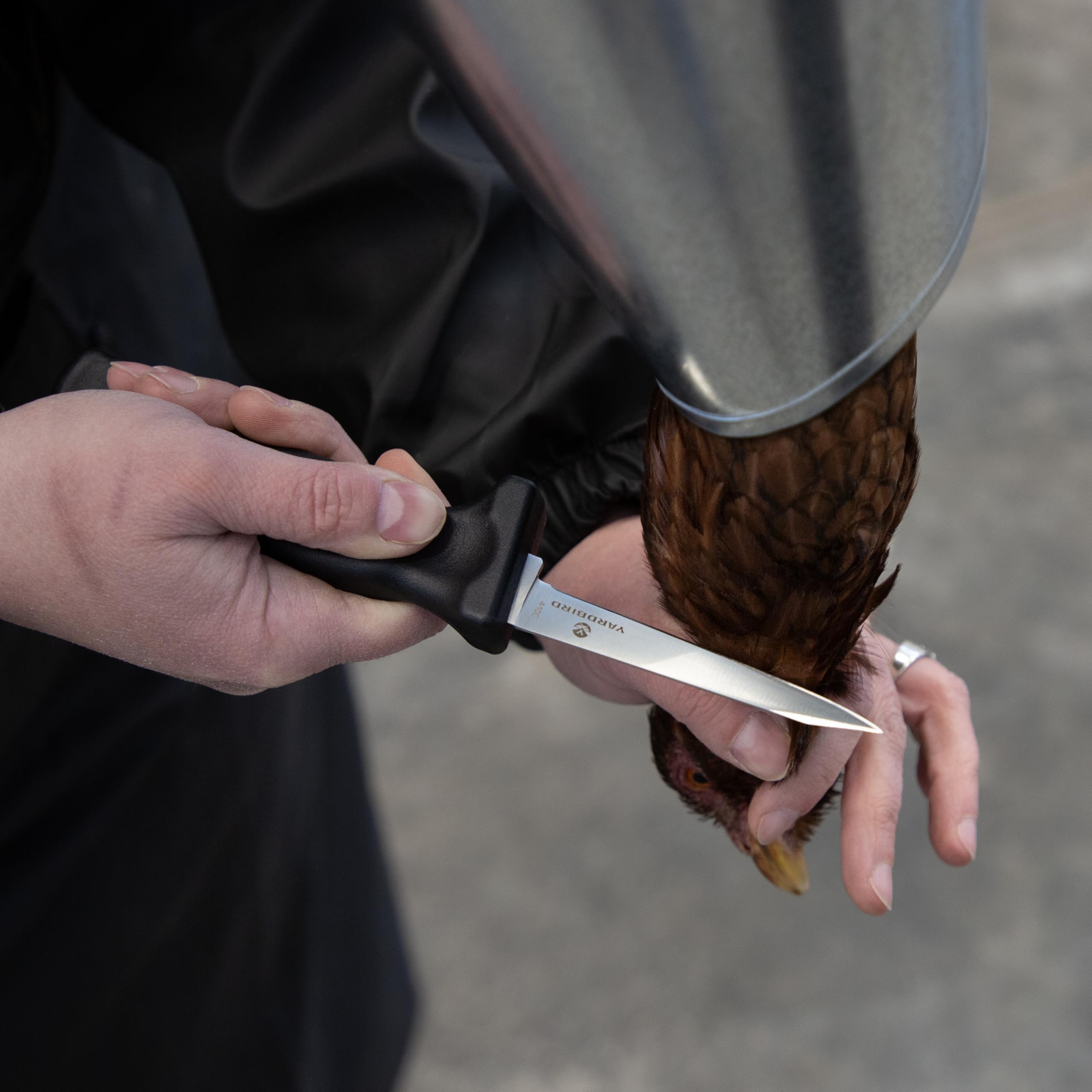 Back view of Yardbird Poultry Processing Knife showing ergonomic handle