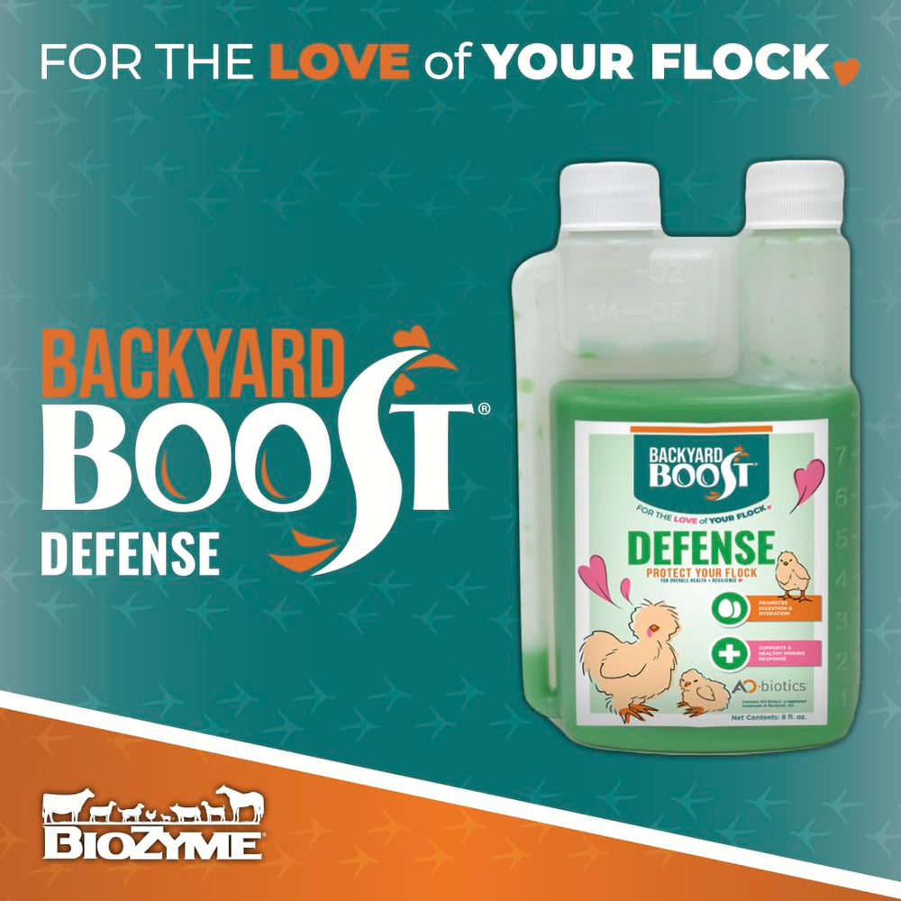 Backyard Defense for Poultry 8oz liquid in use with chickens