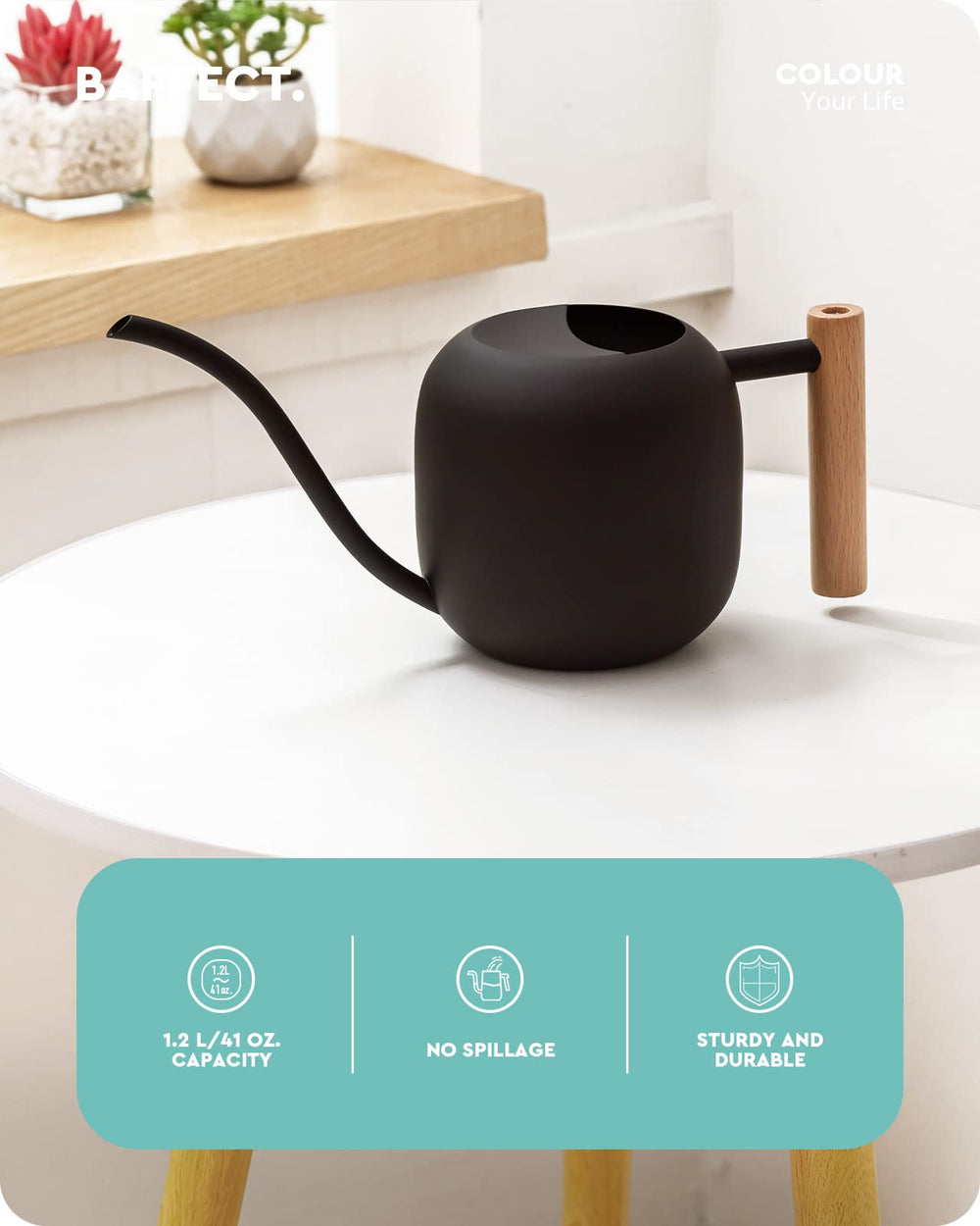 Baffect Indoor Watering Can long spout detail