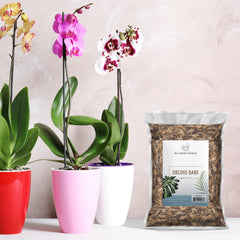 Bag of Rio Hamza Trading Orchid Bark with label