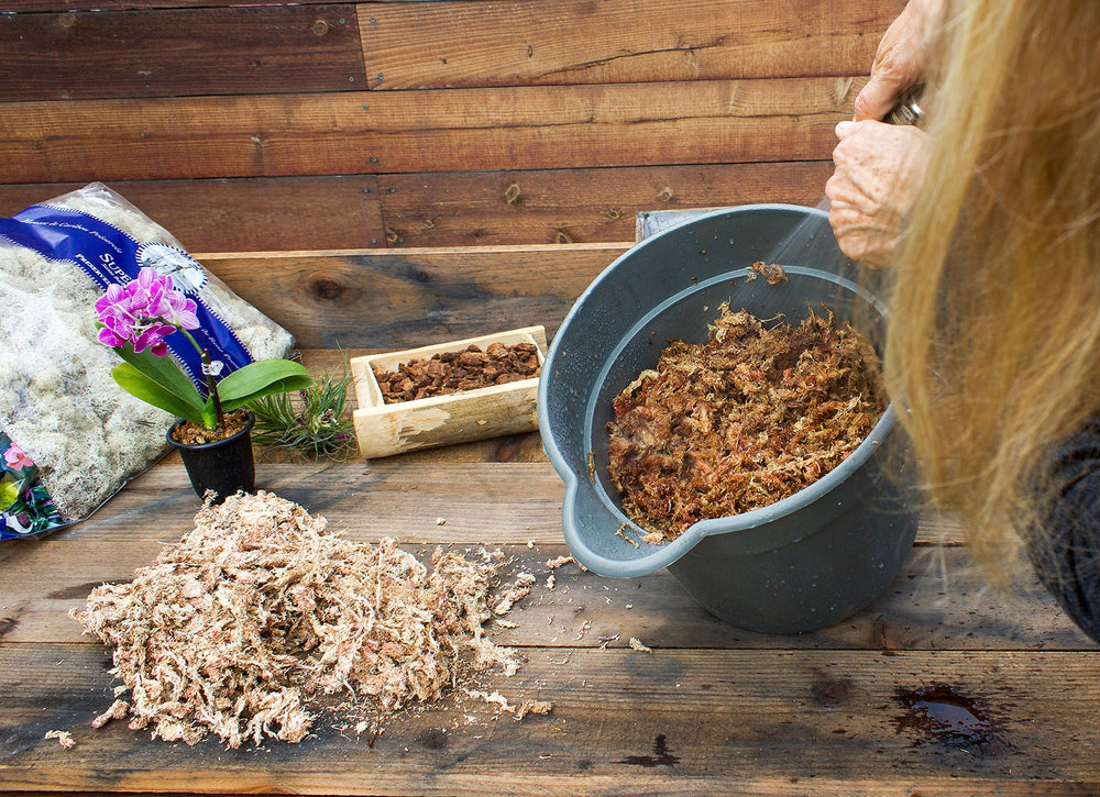 Bag of SuperMoss Orchid Sphagnum Moss on a garden table