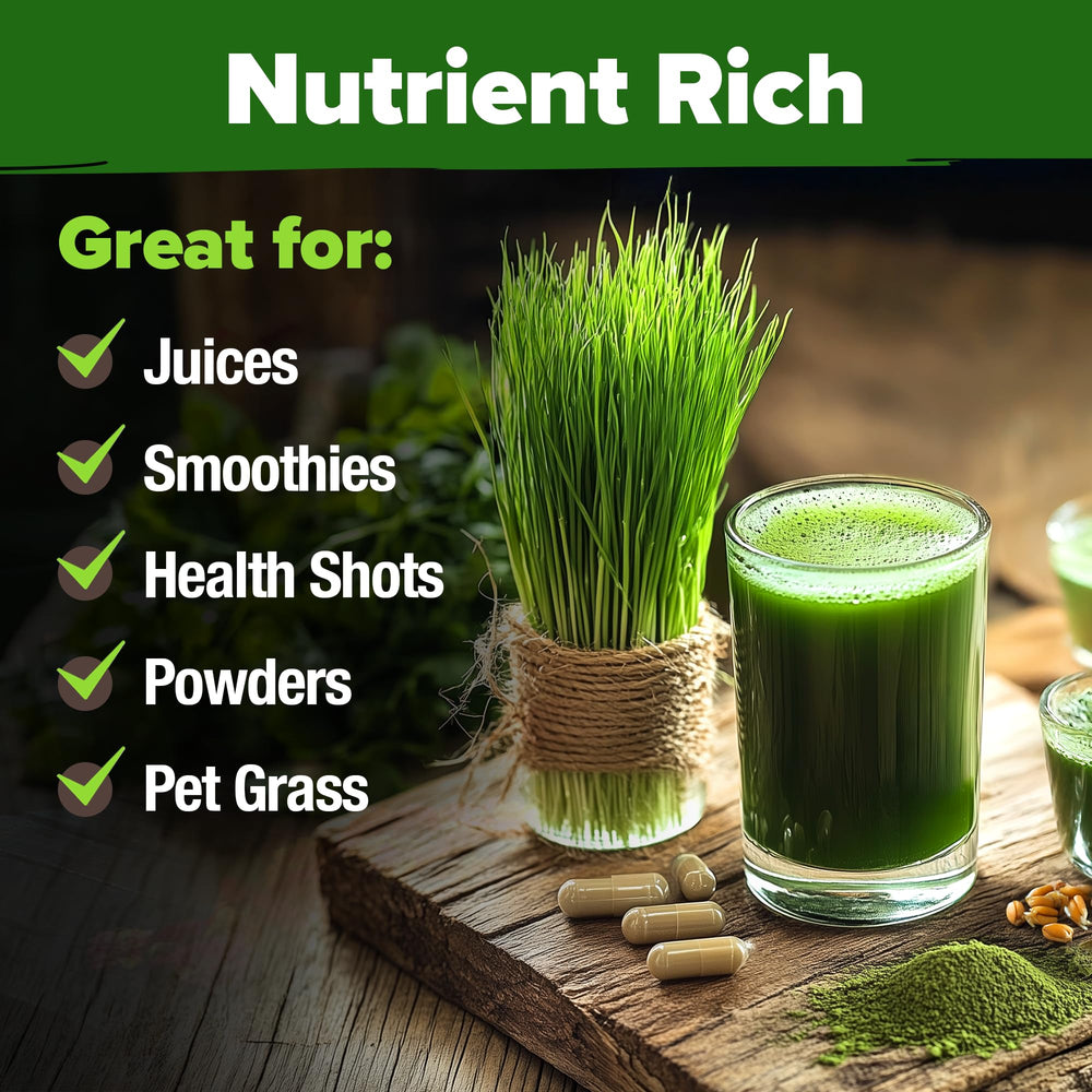 Baker preparing whole-grain bread with wheatgrass