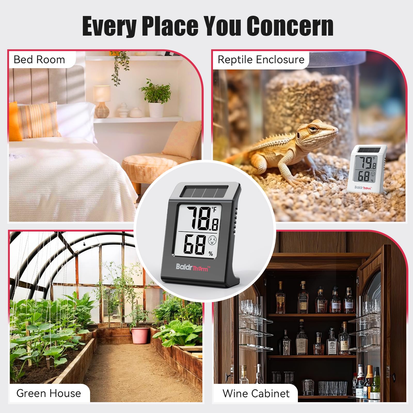 BaldrTherm thermometer and humidity meter in a wine cellar