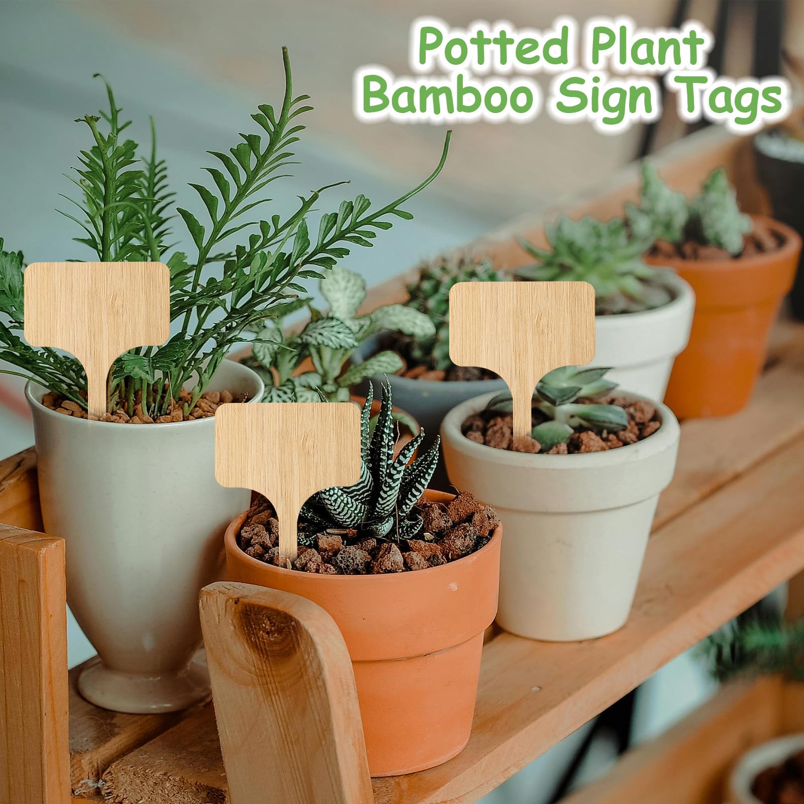 Bamboo plant labels inserted in soil with plants