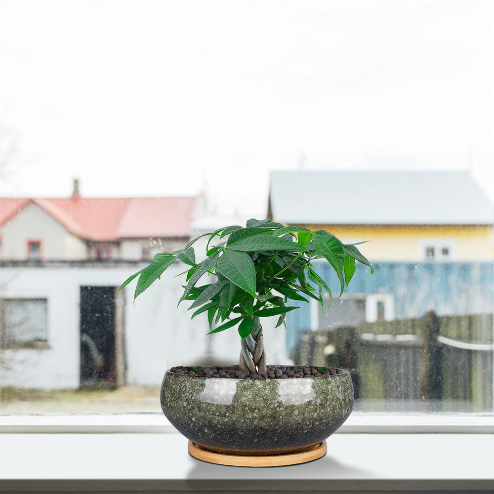 Bamboo saucer included with EPFamily ceramic planter
