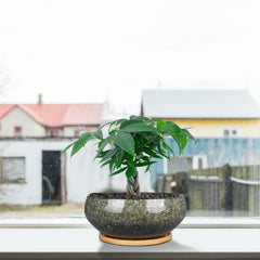 Bamboo saucer included with EPFamily ceramic planter