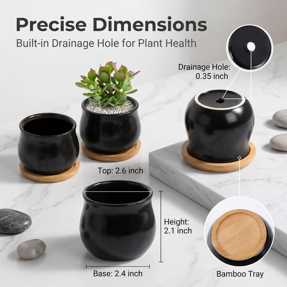 Bamboo tray included with SHECIPIN succulent pots