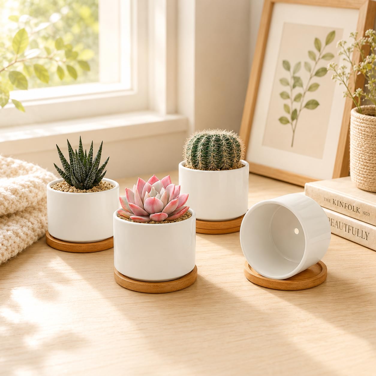Bamboo tray included with ZOUTOG succulent pots