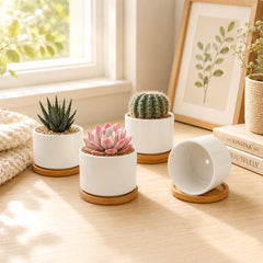 Bamboo tray included with ZOUTOG succulent pots