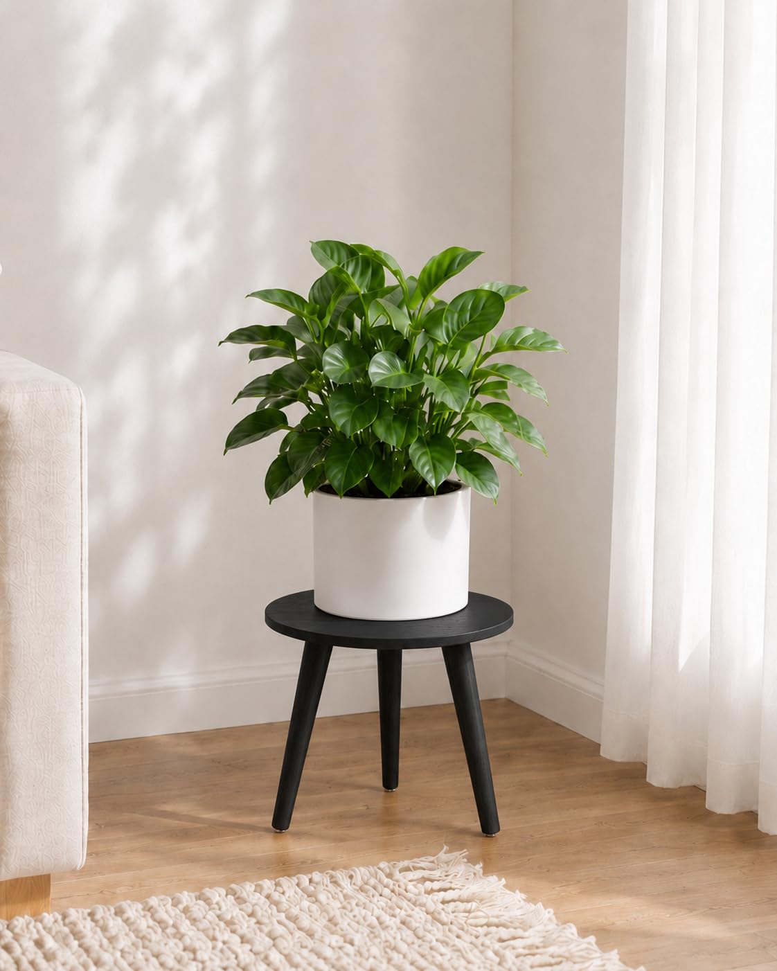 Bamworld Black Plant Stand front view, 11-inch diameter