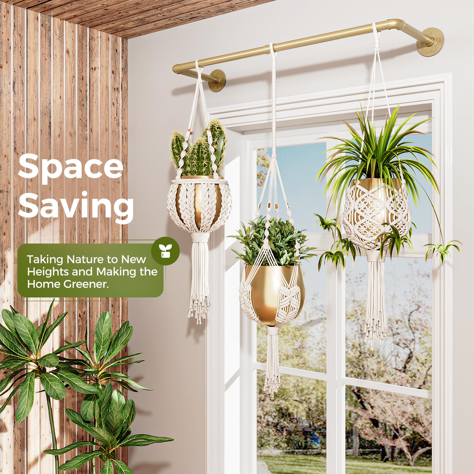 Bamworld Hanging Planter displaying various indoor plants