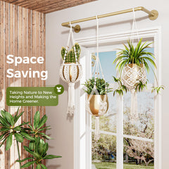 Bamworld Hanging Planter displaying various indoor plants