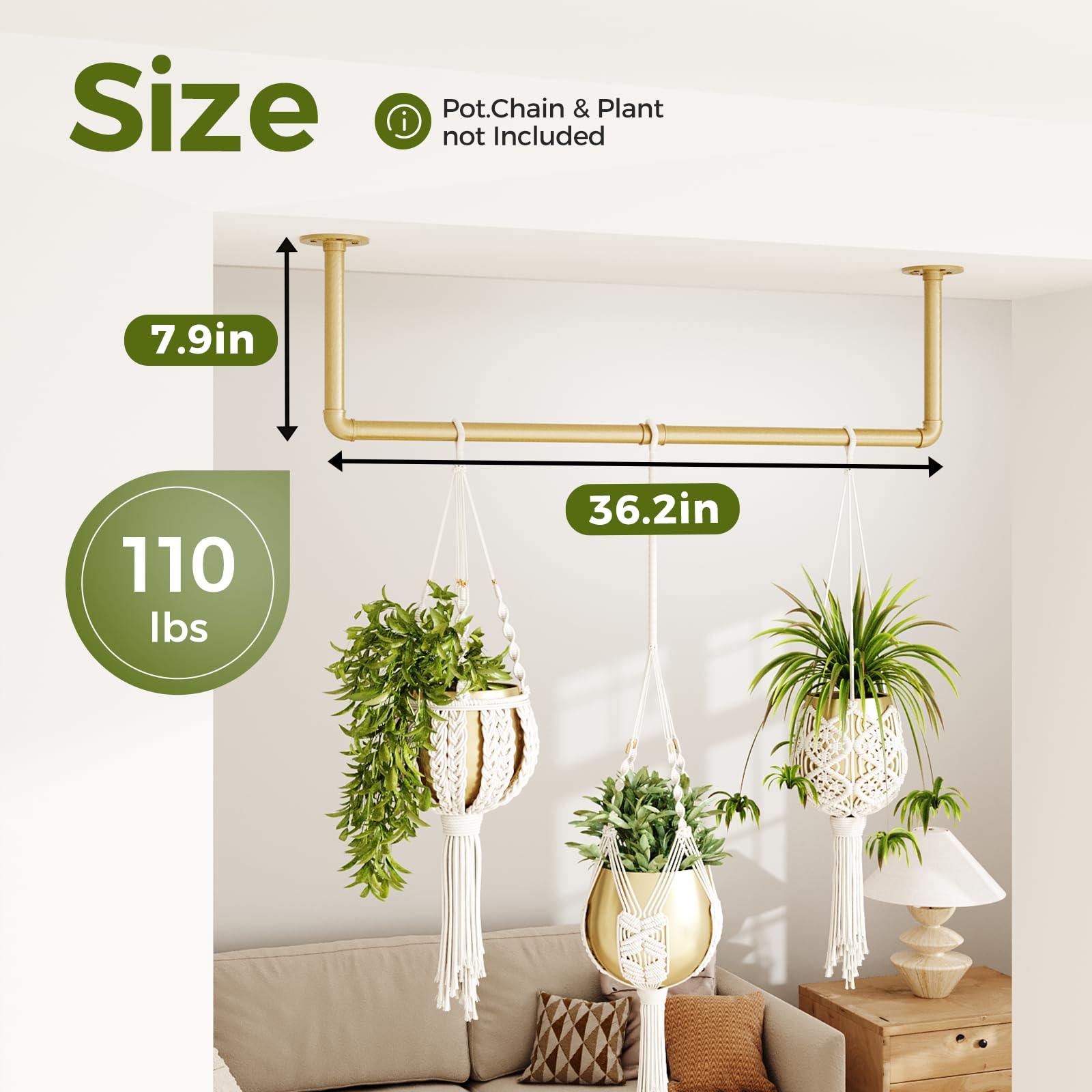 Bamworld Hanging Planter in a kitchen setting