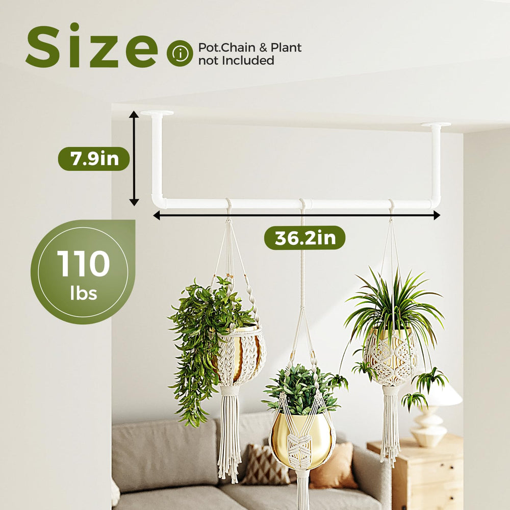 Bamworld Hanging Planter in a living room setting