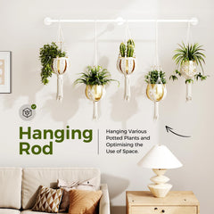 Bamworld hanging planters mounted on a wall with plants