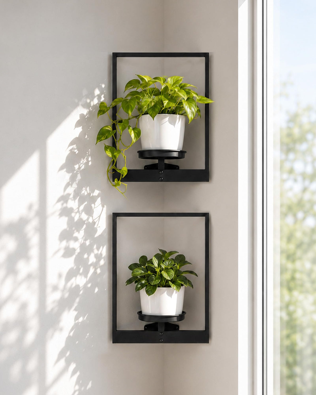 Bamworld Picture Frame Wall Planters set of 2 in black