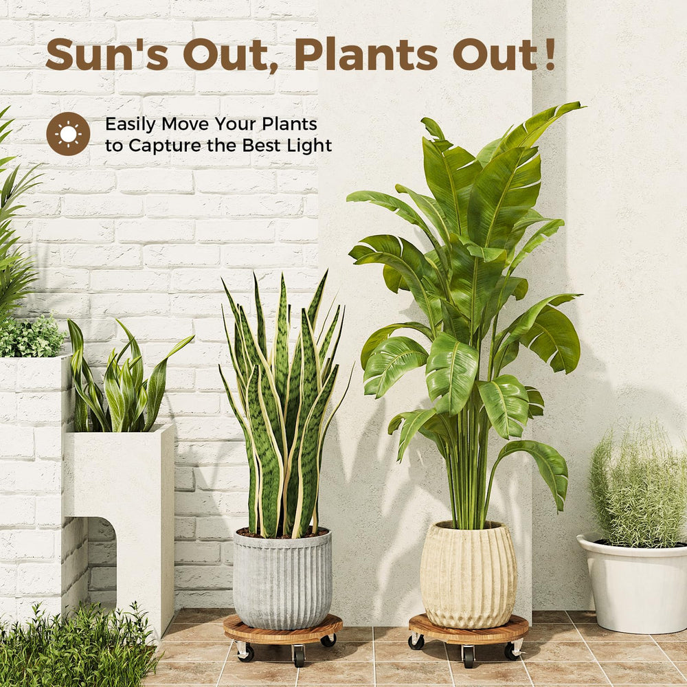 Bamworld Plant Caddy 12 Inch in a garden setting with large plants