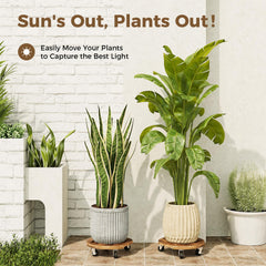 Bamworld Plant Caddy 12 Inch in a garden setting with large plants