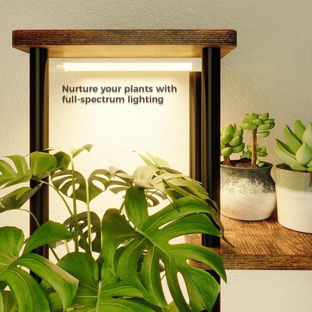 Bamworld Tall Plant Stand assembled with various gardening pots