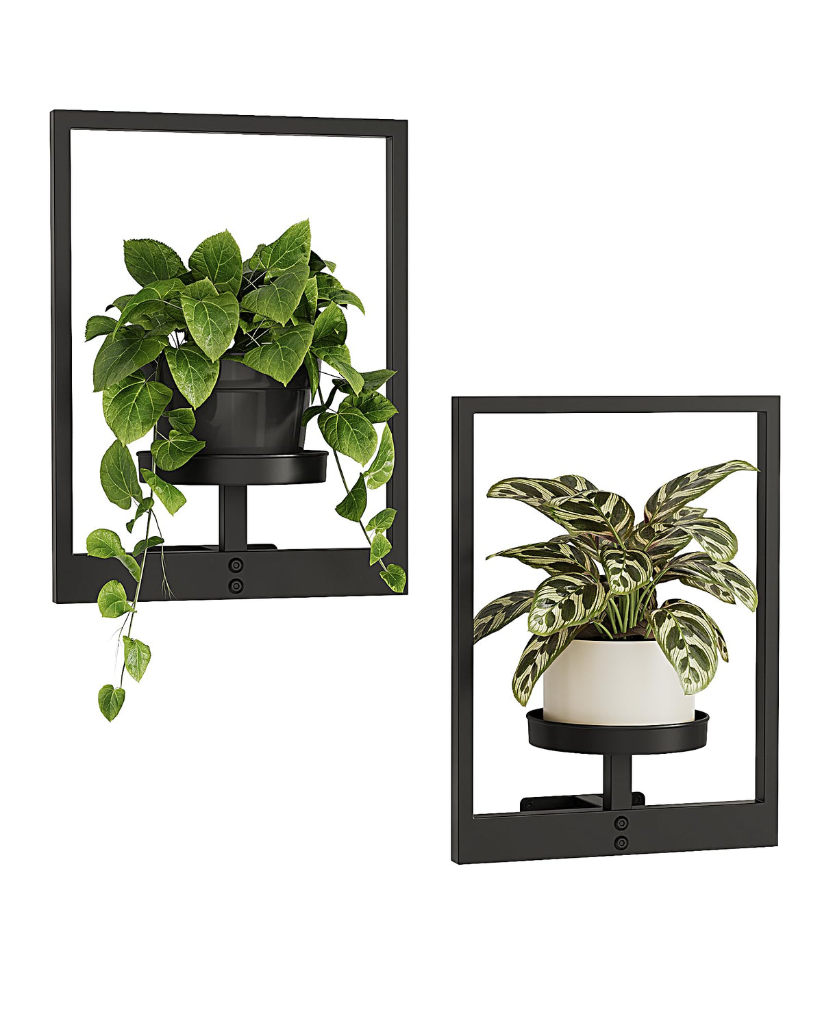 Bamworld Wall Plant Holder black iron front view