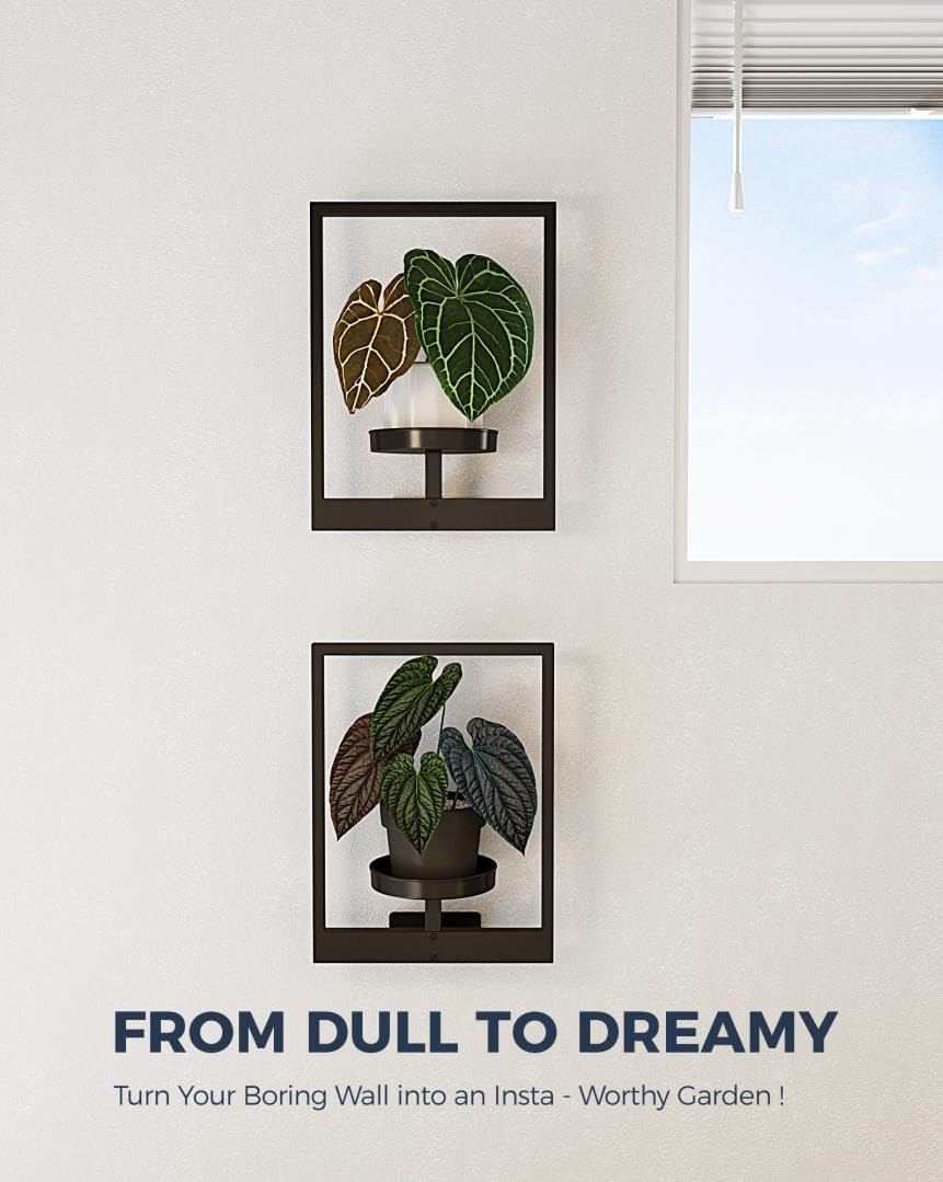 Bamworld Wall Plant Holder in outdoor setting
