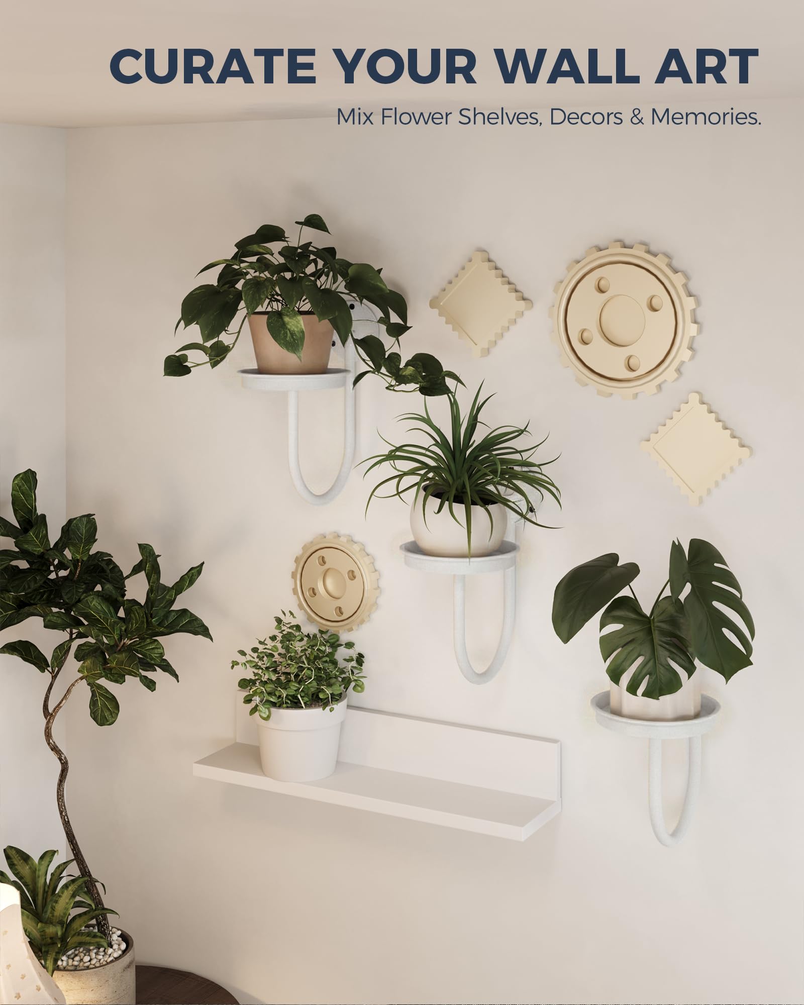 Bamworld Wall Plant Holder mounted on wall with vibrant green plants