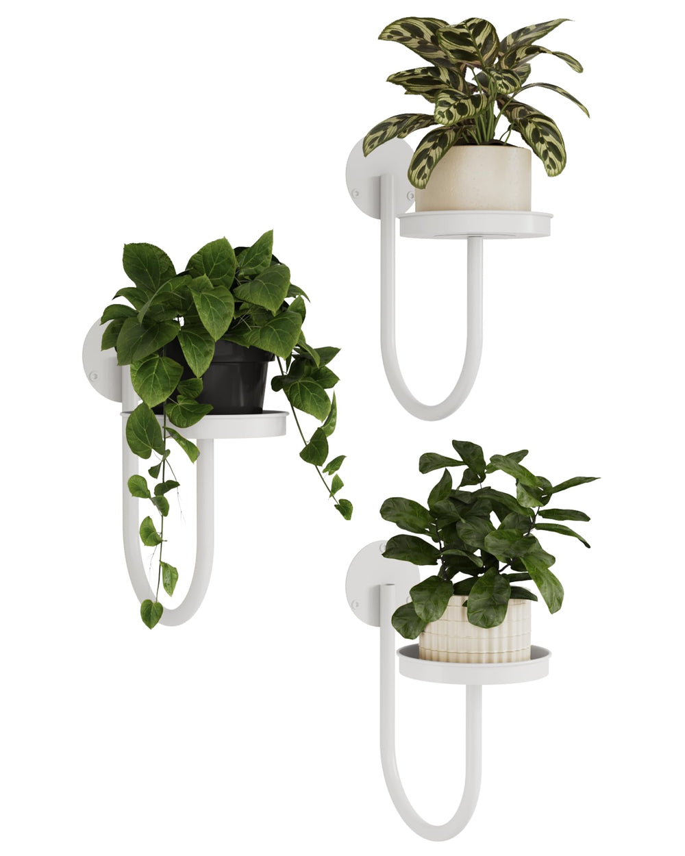 Bamworld Wall Plant Holder white three pieces displayed on wall