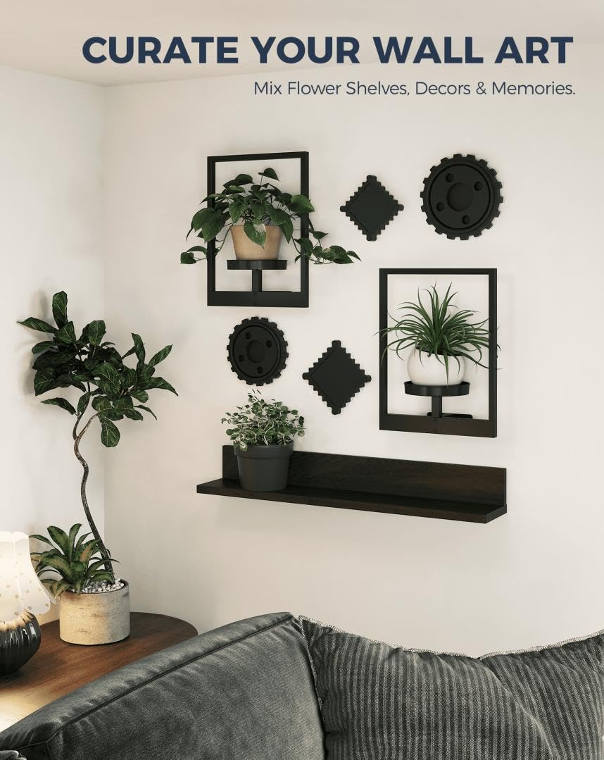Bamworld Wall Plant Holder with plants displayed