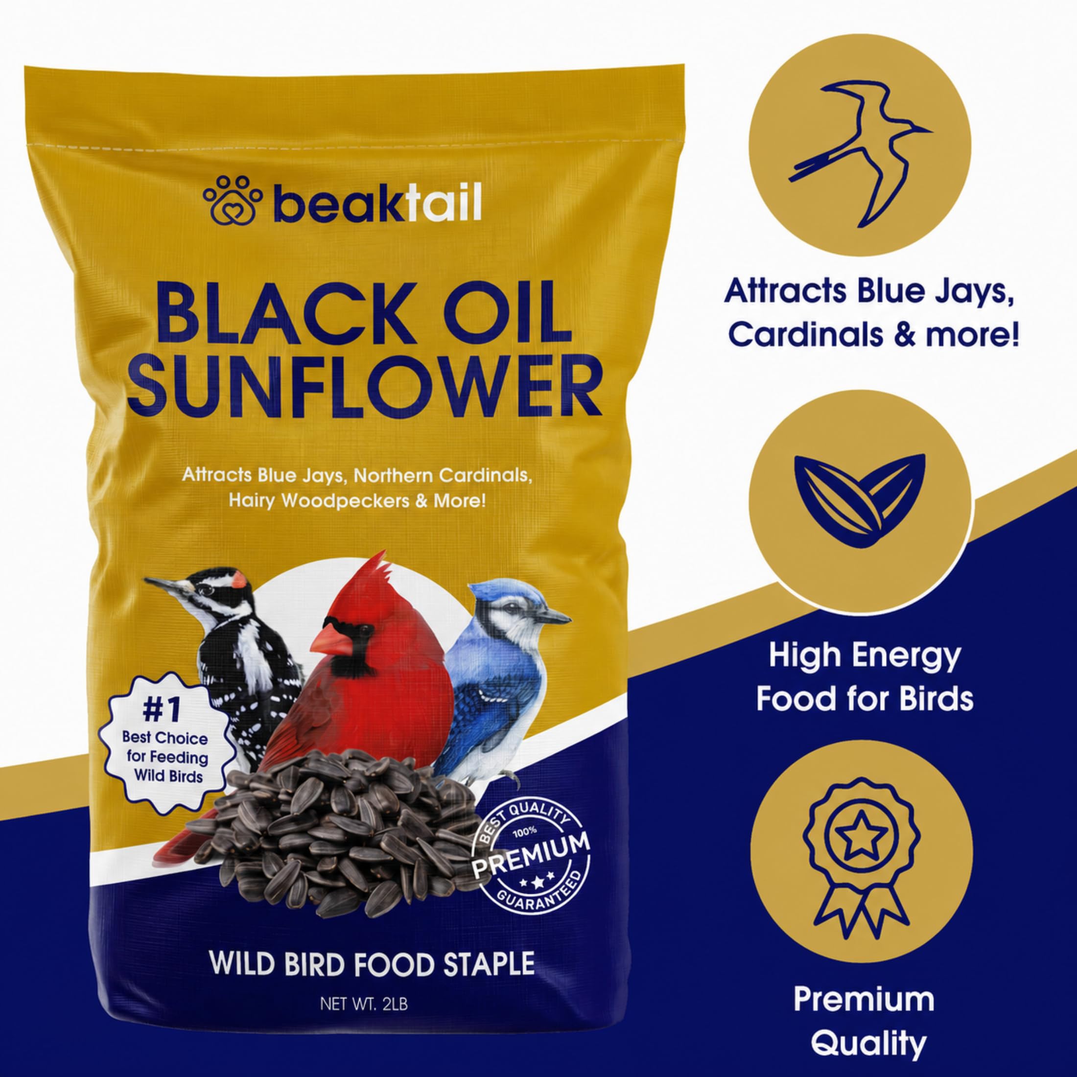 Bangerz Sunz Black Oil Sunflower Seeds 3 lbs close-up of seeds