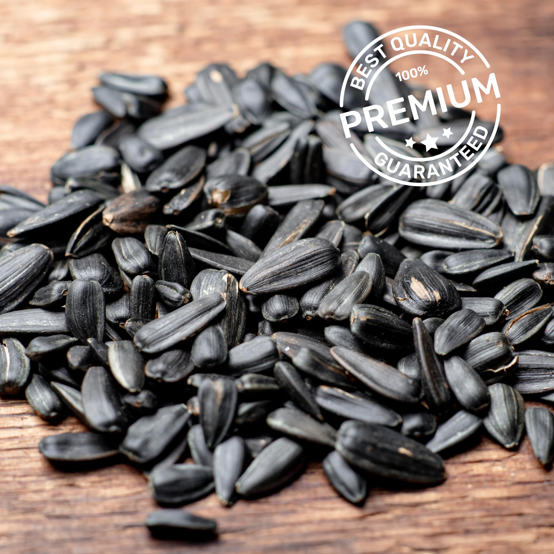 Bangerz Sunz Black Oil Sunflower Seeds 3 lbs in a bird feeder