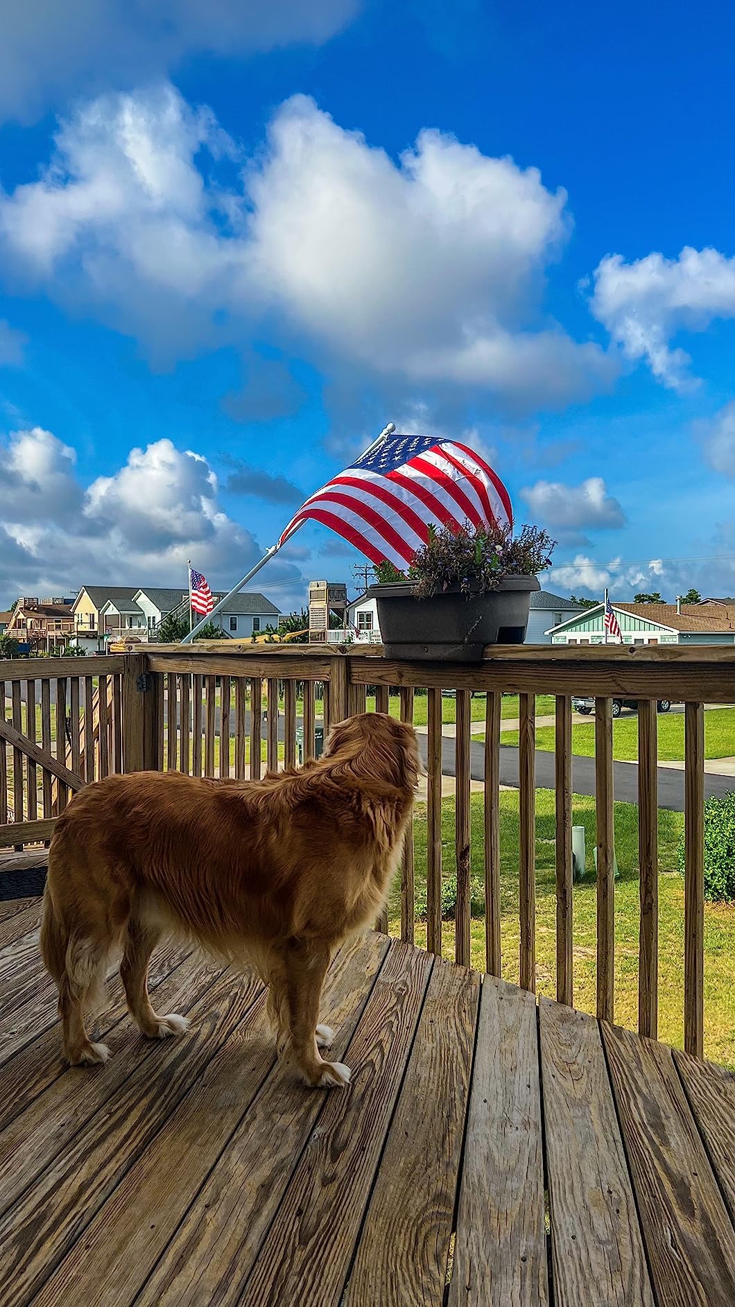 Barcetine flag pole with adjustable grommets