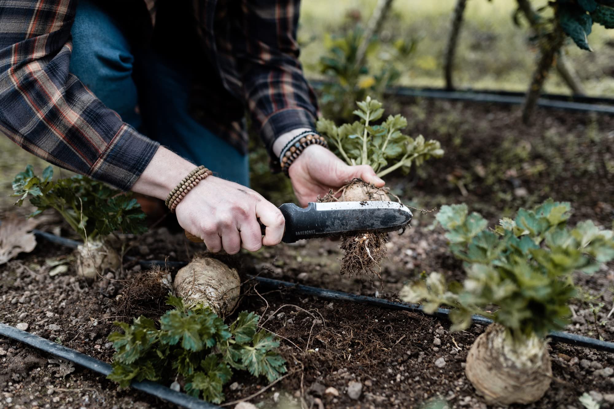 Barebones Hori Hori Classic knife in garden setting
