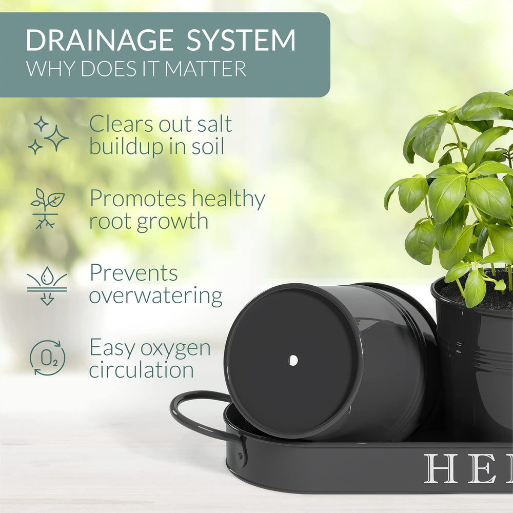 Barnyard Designs black herb planters with small plants