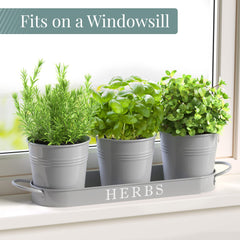 Barnyard Designs galvanized metal herb planters on windowsill