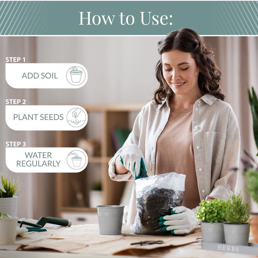 Barnyard Designs herb garden planters with mini succulents