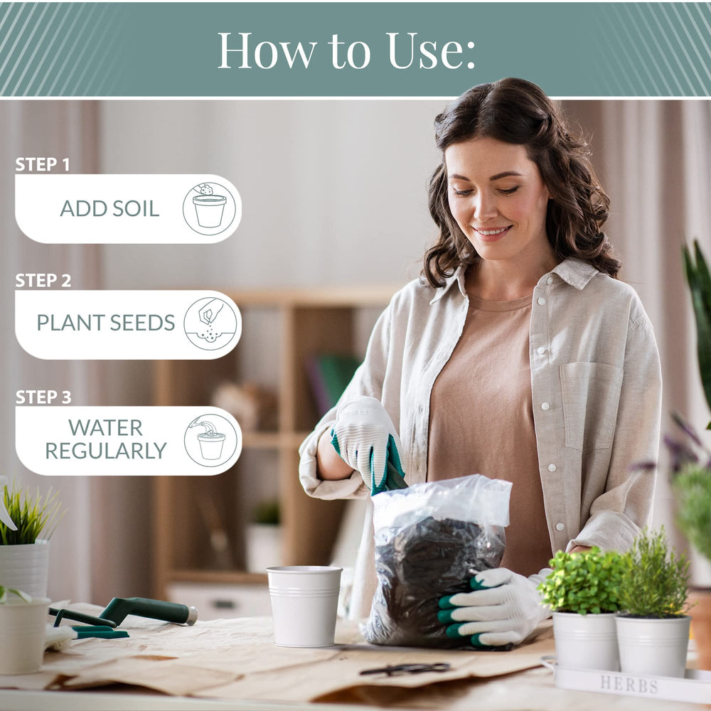 Barnyard Designs herb planter set displayed in a rustic kitchen