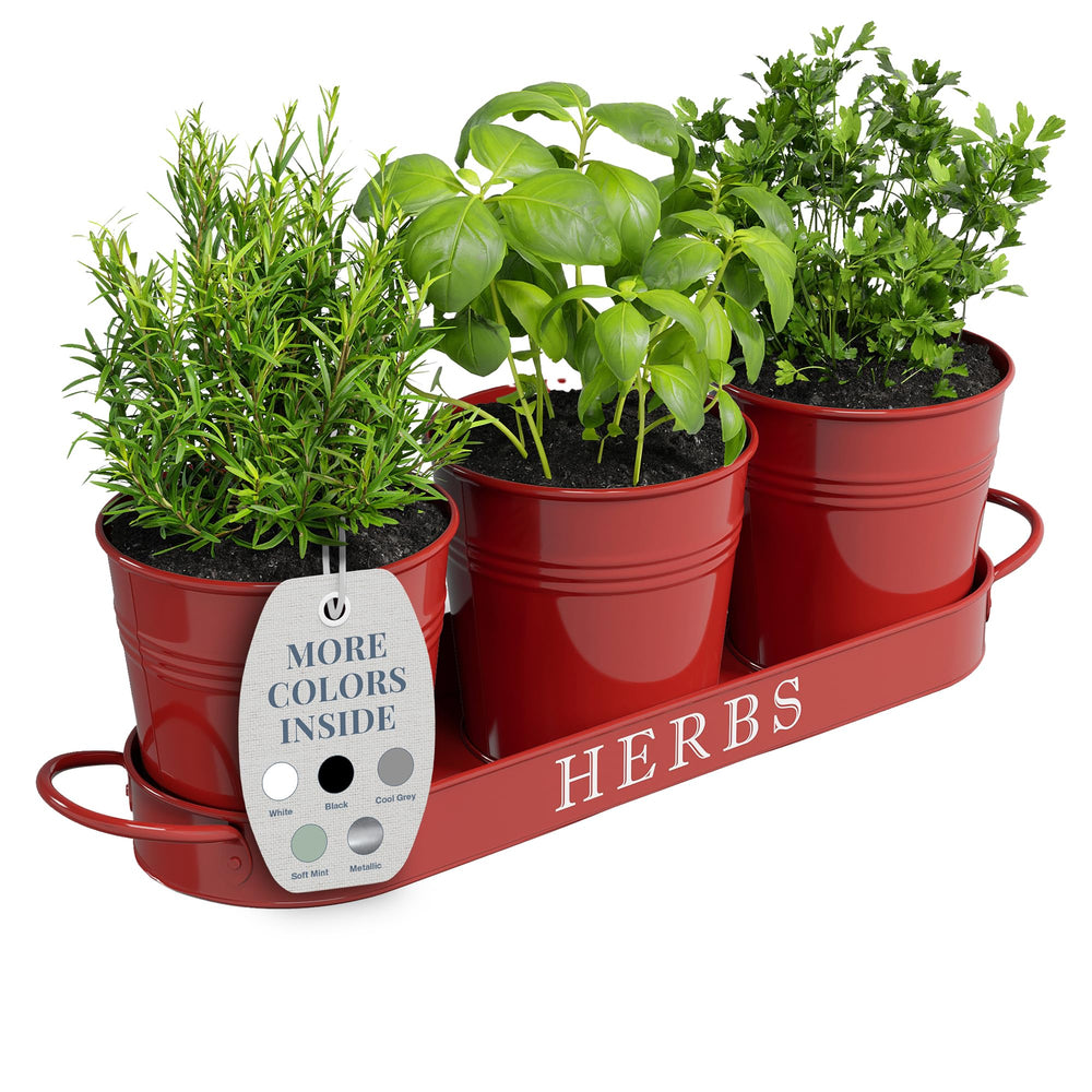 Barnyard Designs Indoor Herb Garden Planter Set of 3 in brick red
