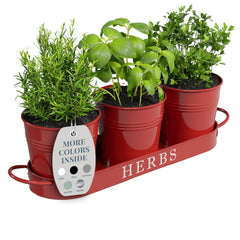 Barnyard Designs Indoor Herb Garden Planter Set of 3 in brick red