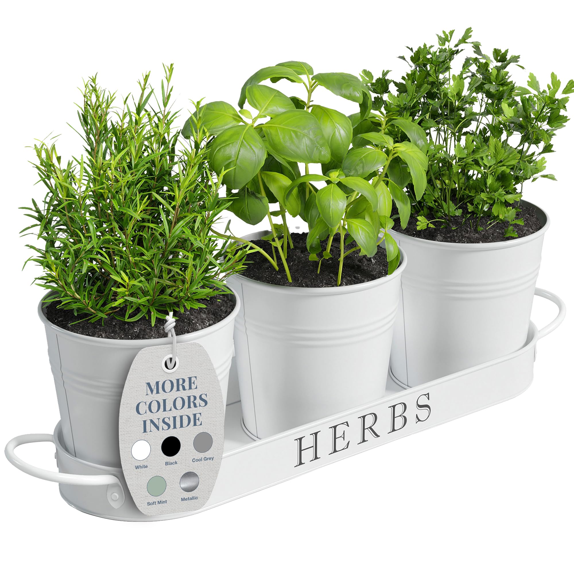 Barnyard Designs indoor herb garden planter set of 3 with tray in white