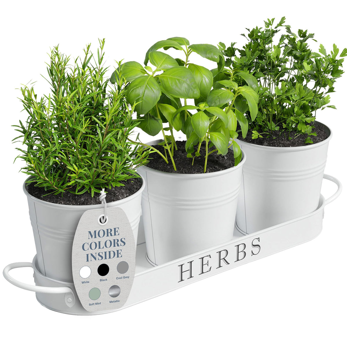 Barnyard Designs indoor herb garden planter set of 3 with tray in white