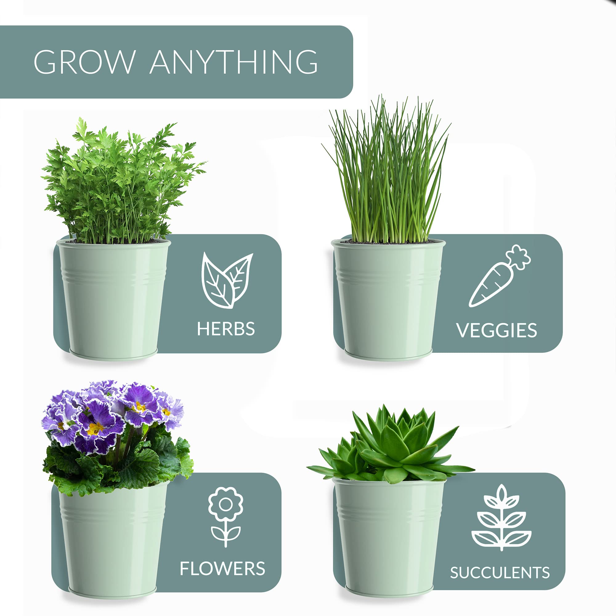 Barnyard Designs Indoor Herb Garden Planters with mini succulents