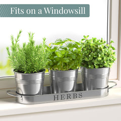 Barnyard Designs indoor herb planter set displayed on a kitchen counter
