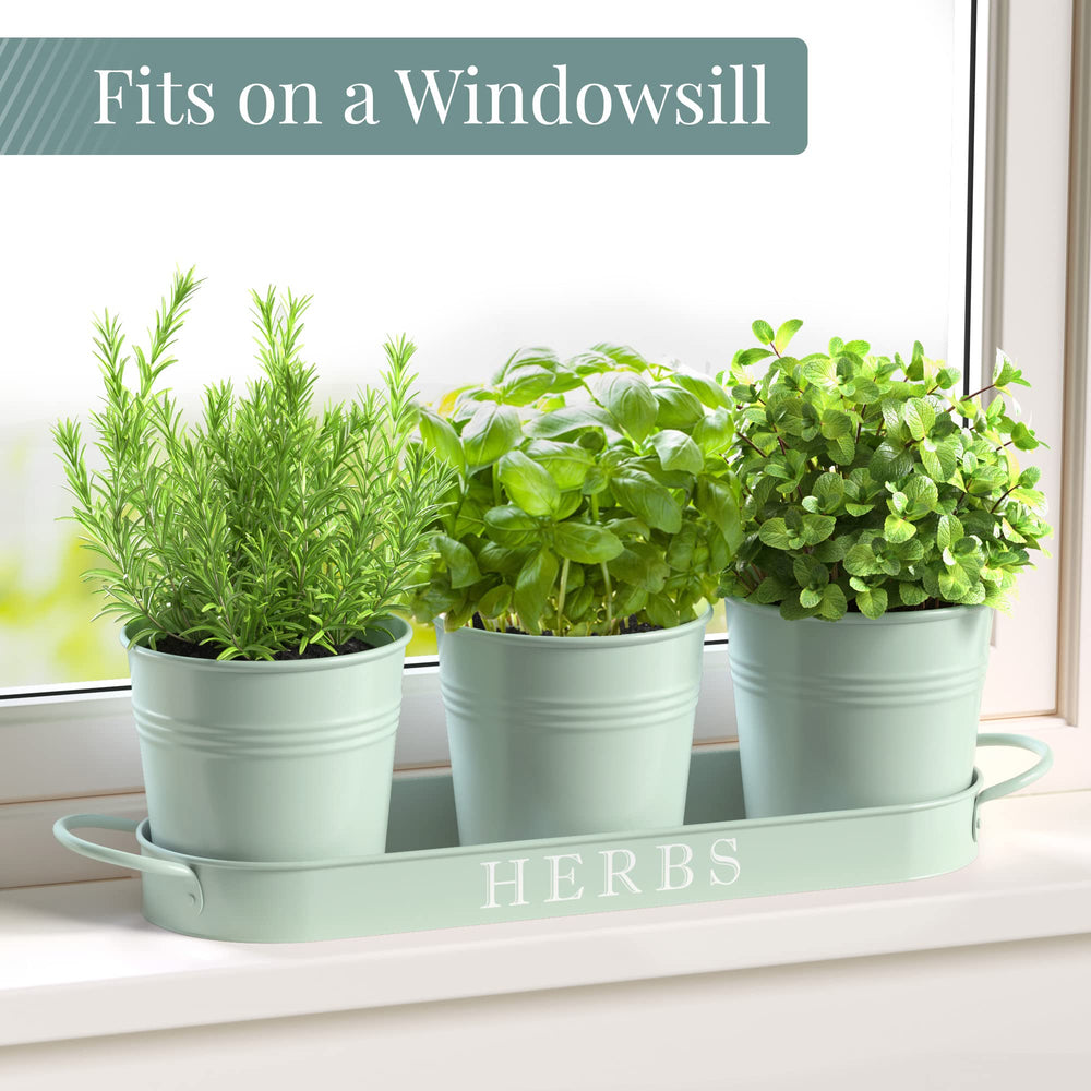 Barnyard Designs Soft Mint Planter Set with herbs